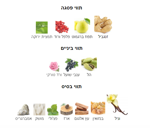 נישאן אני